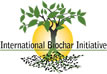 International Biochar Initiative